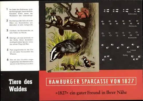 Stundenplan Neue Sparkasse Hamburg, Tiere des Waldes Eichhörnchen Marder etc. um 1960