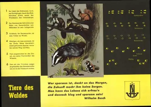 Stundenplan Neue Sparkasse Hamburg, Tiere des Waldes Eichhörnchen Marder um 1960