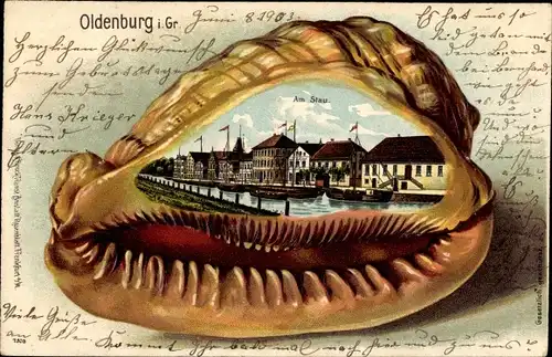 Muschel Litho Oldenburg im Großherzogtum Oldenburg, Am Stau