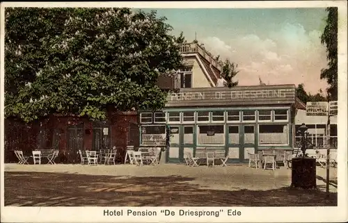 Ak Ede Gelderland Niederlande, Hotel Pension De Driesprong