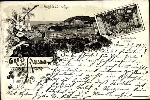 Litho Karlovy Vary Karlsbad Stadt, Totalansicht, Sprudelkolonnade