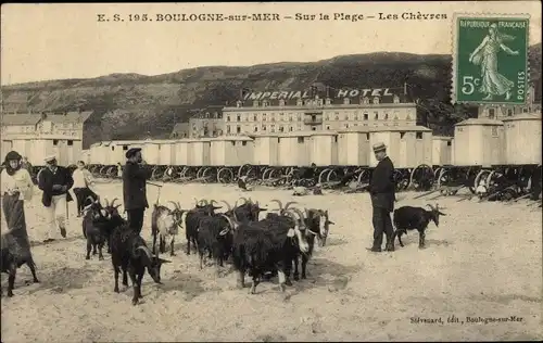 Ak Boulogne sur Mer Pas de Calais, Strand, Ziegen, Imperial Hotel, Badewagen