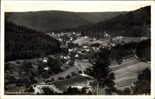 Ak Bad Herrenalb im Schwarzwald, Luftbild