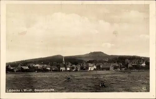 Ak Lübbecke in Westfalen, Gesamtansicht