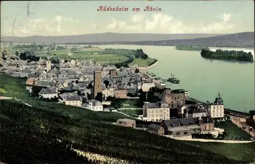 Ak Rüdesheim am Rhein, Panorama vom Ort