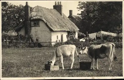 Foto Ak Dorf, Bauernhof, Haus mit Strohdach, Kühe