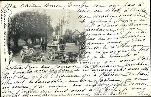 Ak Milchmädchen, Hundekarren, Arbeitshunde, Milchkannen, Belgische Tracht