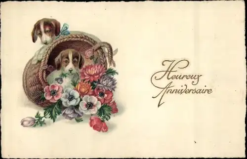Ak Glückwunsch, Hunde und Blumen im Korb