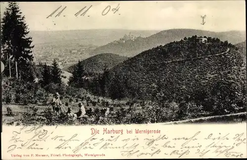 Ak Wernigerode am Harz, Blick auf die Harburg