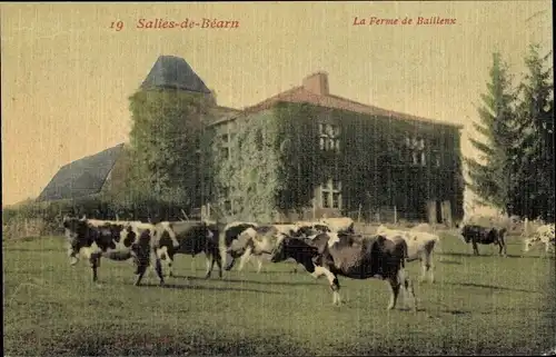 Ak Salies de Béarn Pyrenees Atlantiques, Die Farm von Baillenx