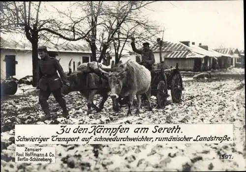 Ak Rumänien, Kämpfe am Sereth, deutsche Soldaten, Rinderkarren, Winter, I WK