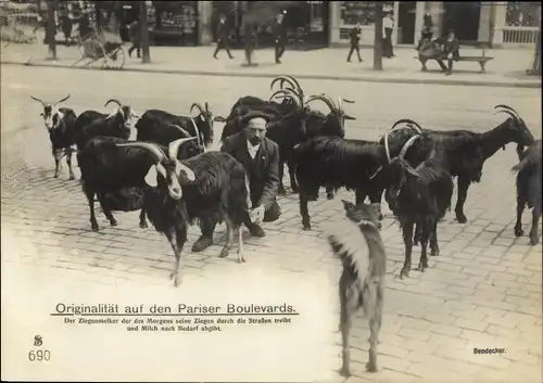 Ak Paris, Ziegenmelker, Ziegen