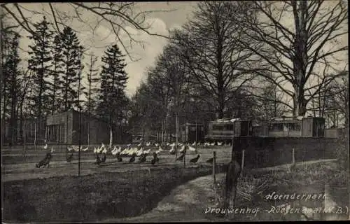 Ak Roosendaal Nordbrabant Niederlande, Frauenhof, Hühnerpark