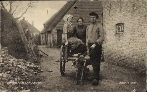 Ak Nordbrabant Niederlande, Brabanter Dorfleben, Bauern, Hundekarren