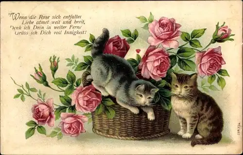 Präge Ak Katzen, Korb mit Rosen, Wenn die Rose sich entfaltet