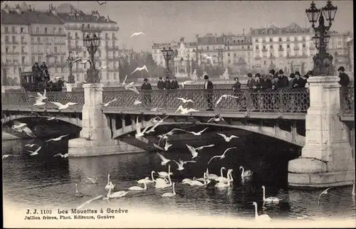 Ak Genf Genf Schweiz, Pont, Les Mouettes