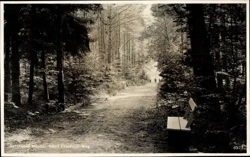 Ak Ostseebad Graal Müritz, Adolf Friedrich-Weg