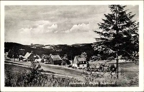 Ak Schellerhau Altenberg im Erzgebirge, Teilansicht