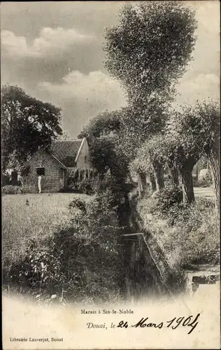 Ak Sin der edle Norden, Sumpf