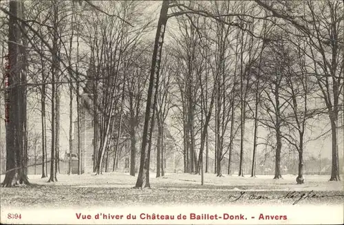 Ak Anvers Antwerpen Flandern, Vue d'hiver du Chateau de Baillet-Donk