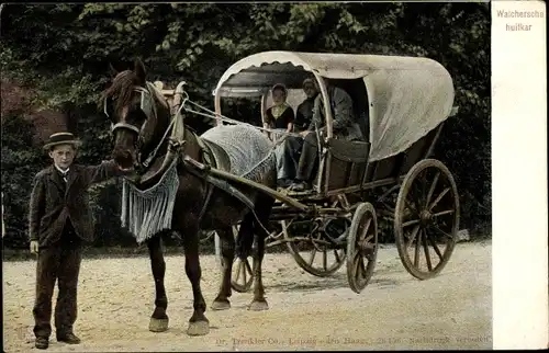 Ak Walcheren Zeeland, Fuhrwerk, Niederländische Tracht, Pferd