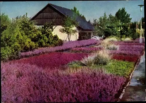 Ak Erfurt in Thüringen, iga, Erikenschau an der Milchbar