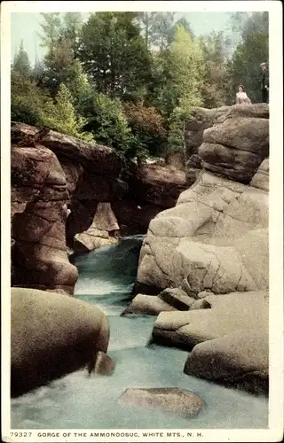 Ak New Hampshire USA, Schlucht des Ammonoosuc, White Mountains