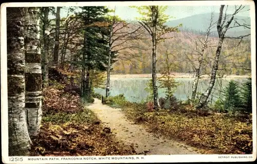 Ak Franconia Notch New Hampshire USA, Bergpfad, White Mountains