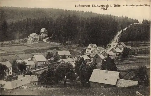 Ak Stützerbach Ilmenau Thüringer Wald, Teilansicht, Auerhahn Aufstieg