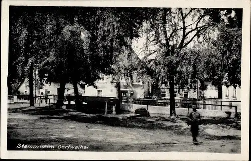 Ak Stammheim Kolitzheim in Unterfranken, Dorfweiher