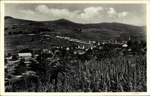 Ak Bickensohl Vogtsburg im Kaiserstuhl, Gesamtansicht