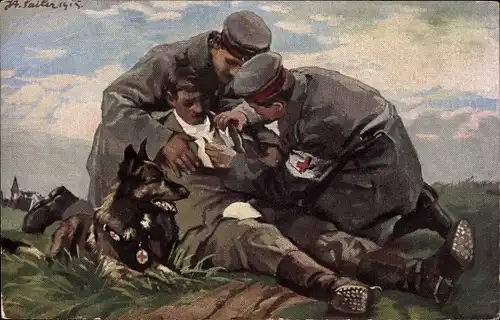 Künstler Ak Sailer, Der Sanitätshund im Felde, Verwundeter wird verbunden, Rotes Kreuz