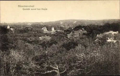 Ak Bloemendaal Nordholland Niederlande, Panorama, Kopje