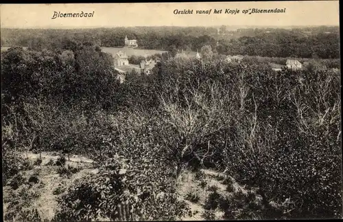 Ak Bloemendaal Nordholland Niederlande, Panorama, Kopje