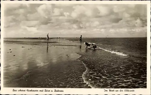 Ak Nordseebad Duhnen Cuxhaven, Im Watt an der Elbkante