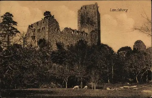 Ak Ottrott Landsberg Elsass Bas Rhin, ruine du château, vue générale, arbres, moutins