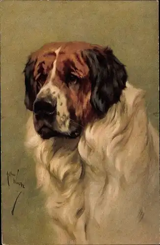 Künstler Ak Wardle, Arthur, Bernhardiner, Hundeportrait