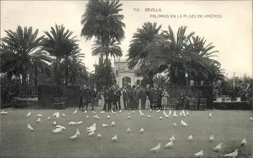 Ak Sevilla Andalusien, Plaza de America, Tauben