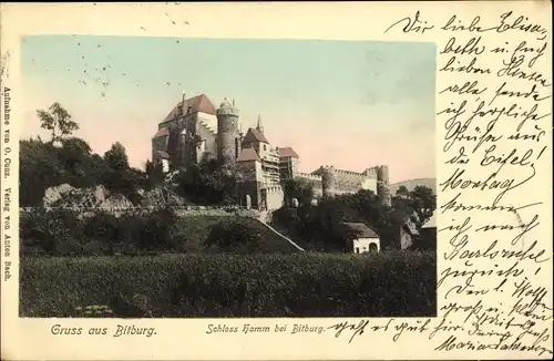 Ak Bitburg in der Eifel, Schloss Hamm