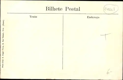 Ak Paraná Brasilien, Kiefernsägewerk