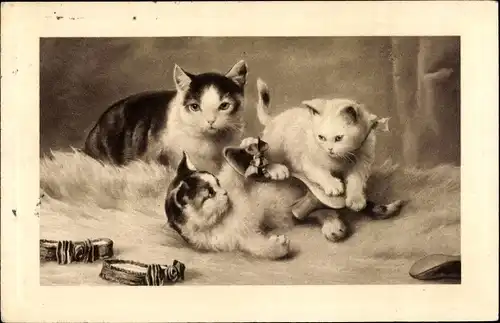 Künstler Ak Zwei junge Katzen mit einem Damenschuh spielend, Katze
