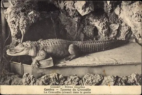 Postkarte Genf Genf Schweiz, Taverne du Crocodile, Grotte