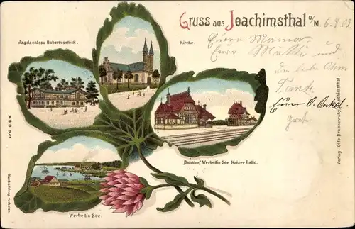 Kleeblatt Litho Joachimsthal Uckermark, Jagdschloss Hubertusstock, Kirche, Bahnhof Werbellinsee