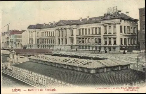 Ak Liège Lüttich Wallonien, Institut für Zoologie
