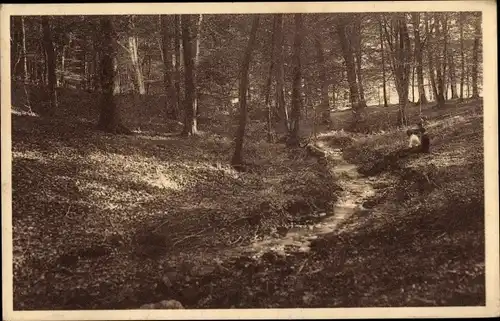 Ak Libin Wallonien Luxemburg, Source du Ruisseau du Moulin