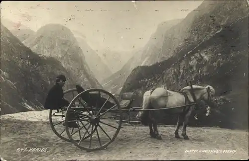 Ak Norwegen, Fuhrwerk, Pferd, Kind