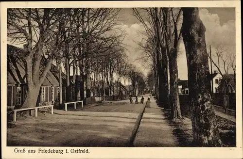 Ak Friedeburg Ostfriesland, Allee