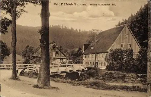 Ak Wildemann Clausthal Zellerfeld im Oberharz, Mühle, Innerstetal