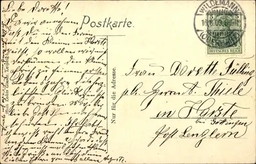 Ak Wildemann Clausthal Zellerfeld im Oberharz, Mühle, Innerstetal