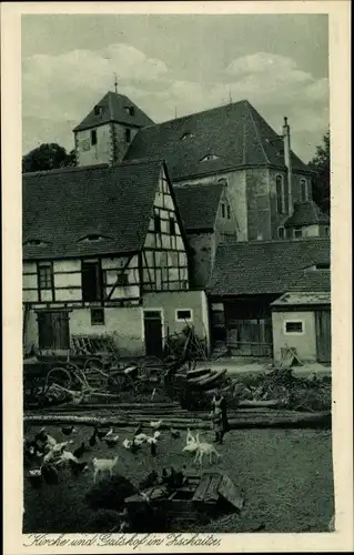 Ak Zschaitz Ottewig in Sachsen, Gutshof und Kirche, Tiere